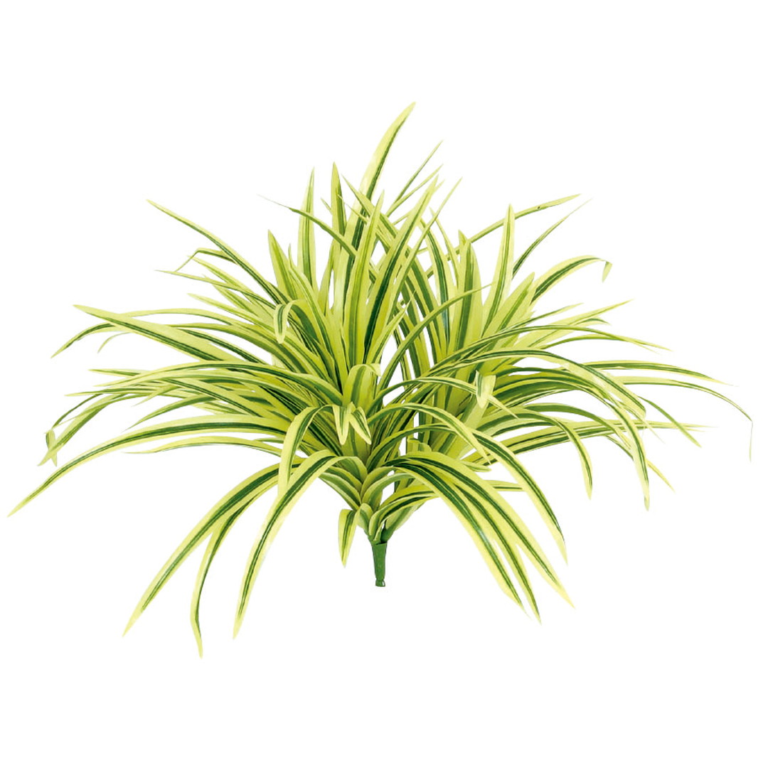 ヤブラン イエロー 日比谷花壇ドットビズ 花と緑の総合仕入れサイトhibiya Kadan Biz