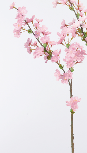 Ａ－３３７３９　桜ブランチ×４７　#003 ﾋﾟﾝｸ