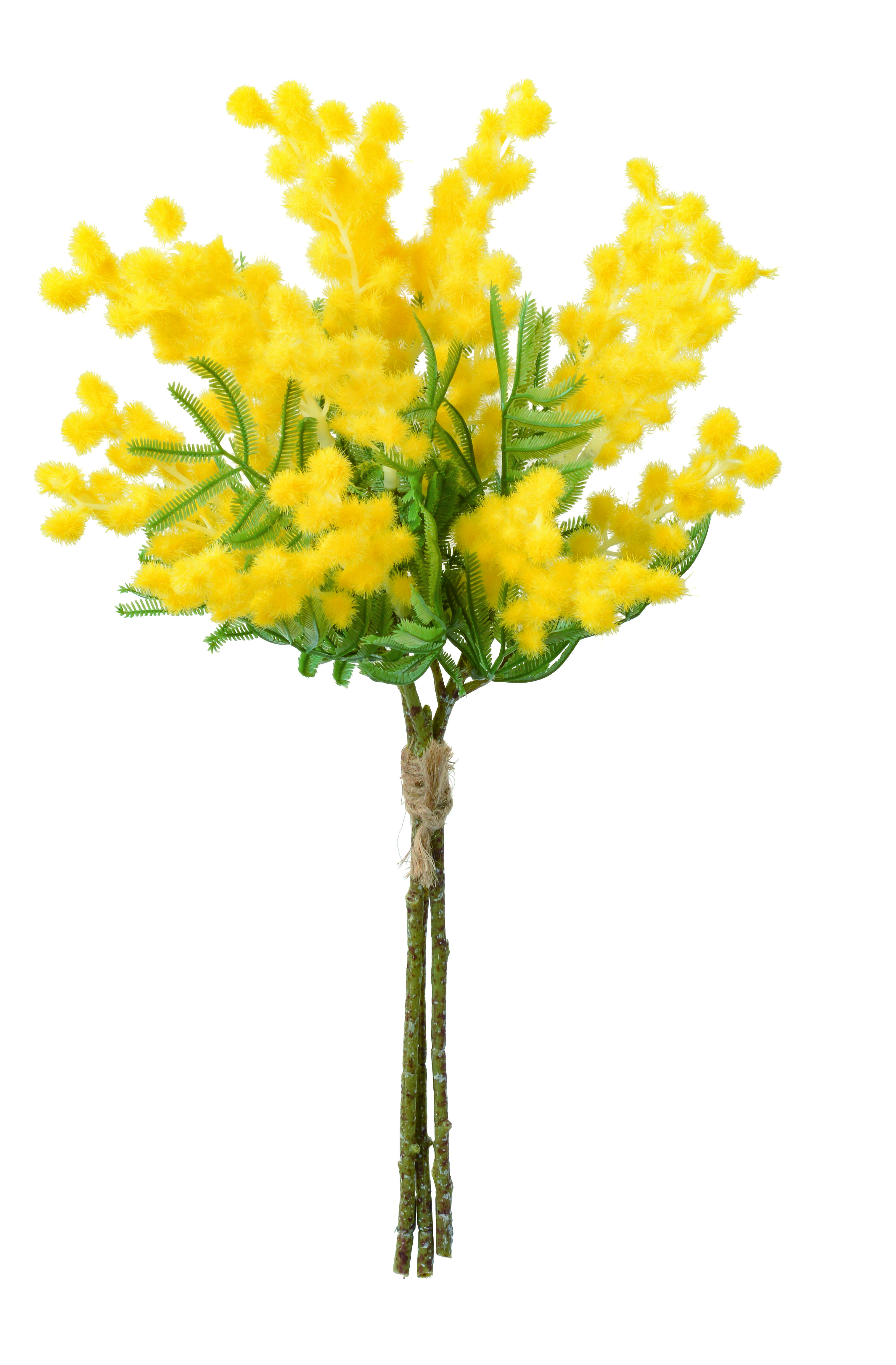 Ａ－３４１０８　ミモザバンチ　#010 ｲｴﾛ-