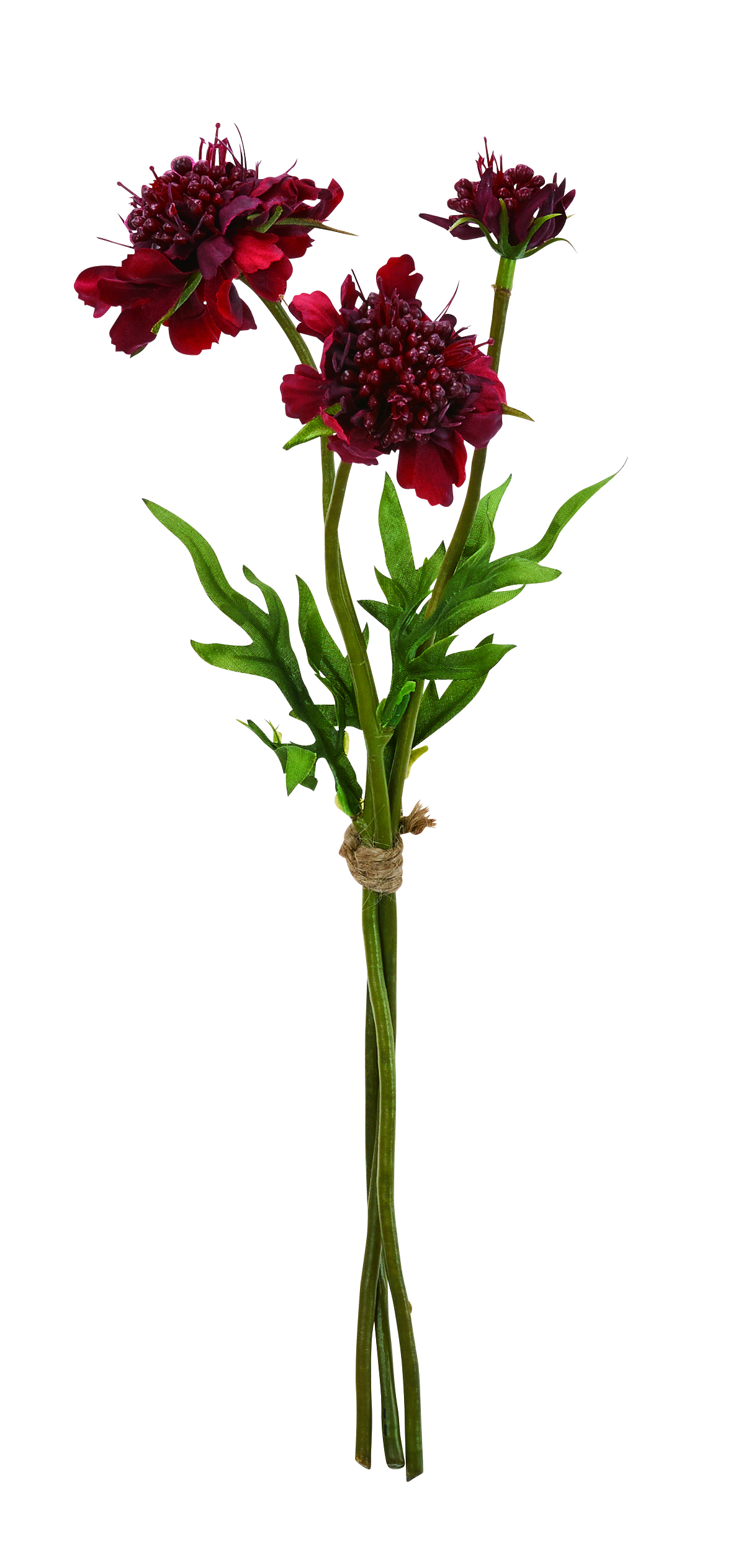 Ａ－３４９５４　スカビオサバンチ　#015A ﾜｲﾝ