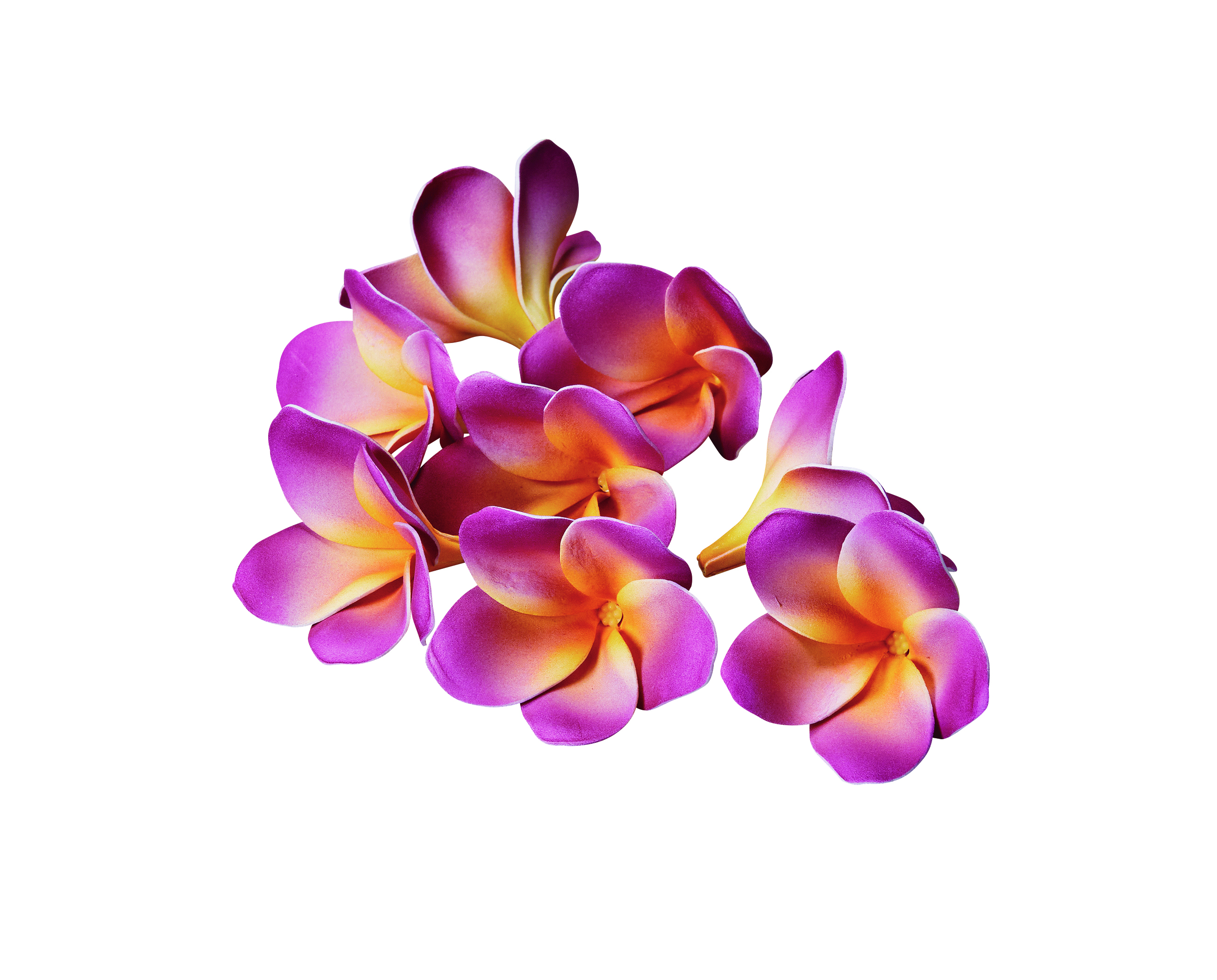 Ａ－３５０３０　プルメリア　#003 ﾋﾟﾝｸ