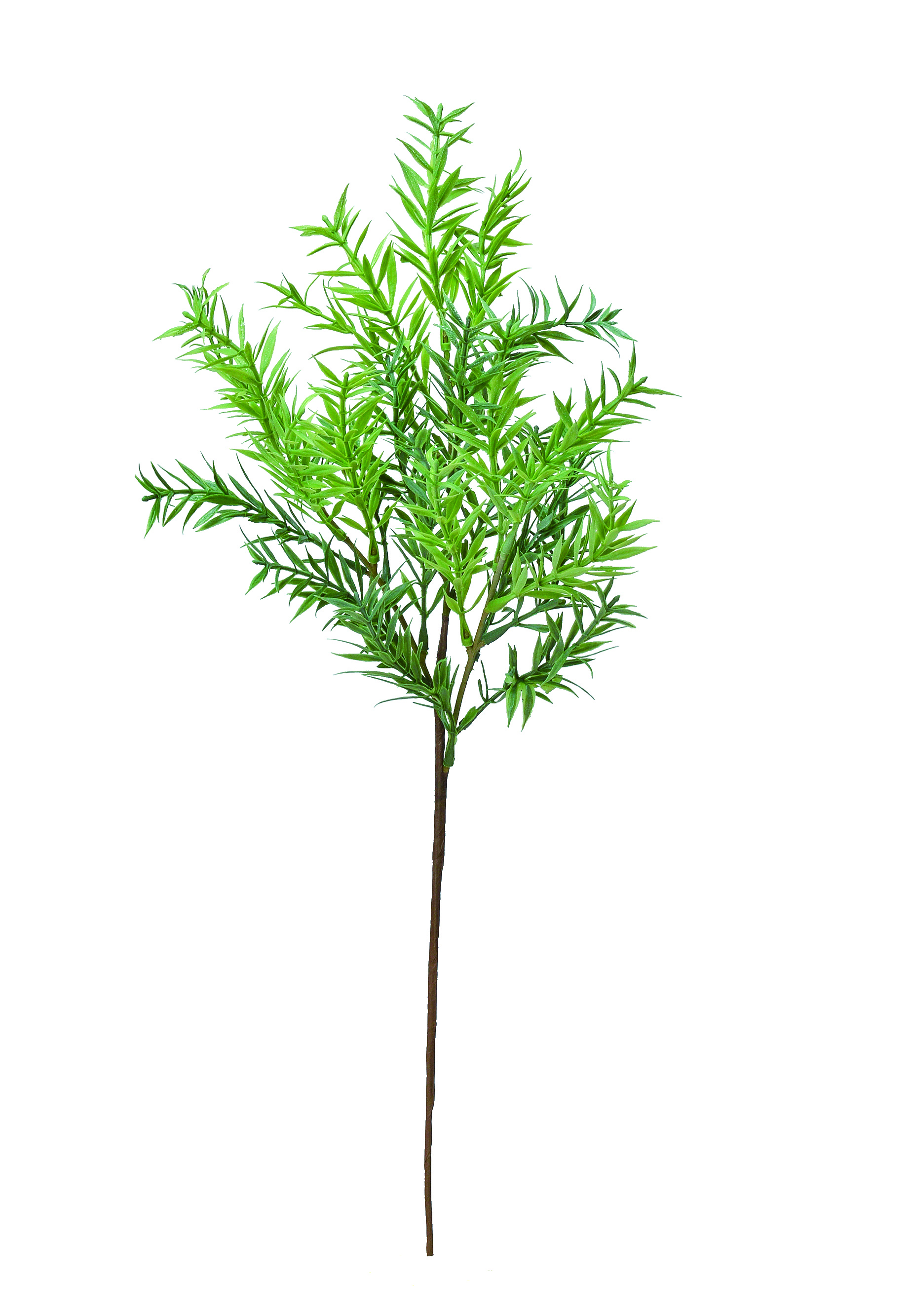 Ａ－４３５７９　ローズマリー　#051A ｸﾞﾘ-ﾝ