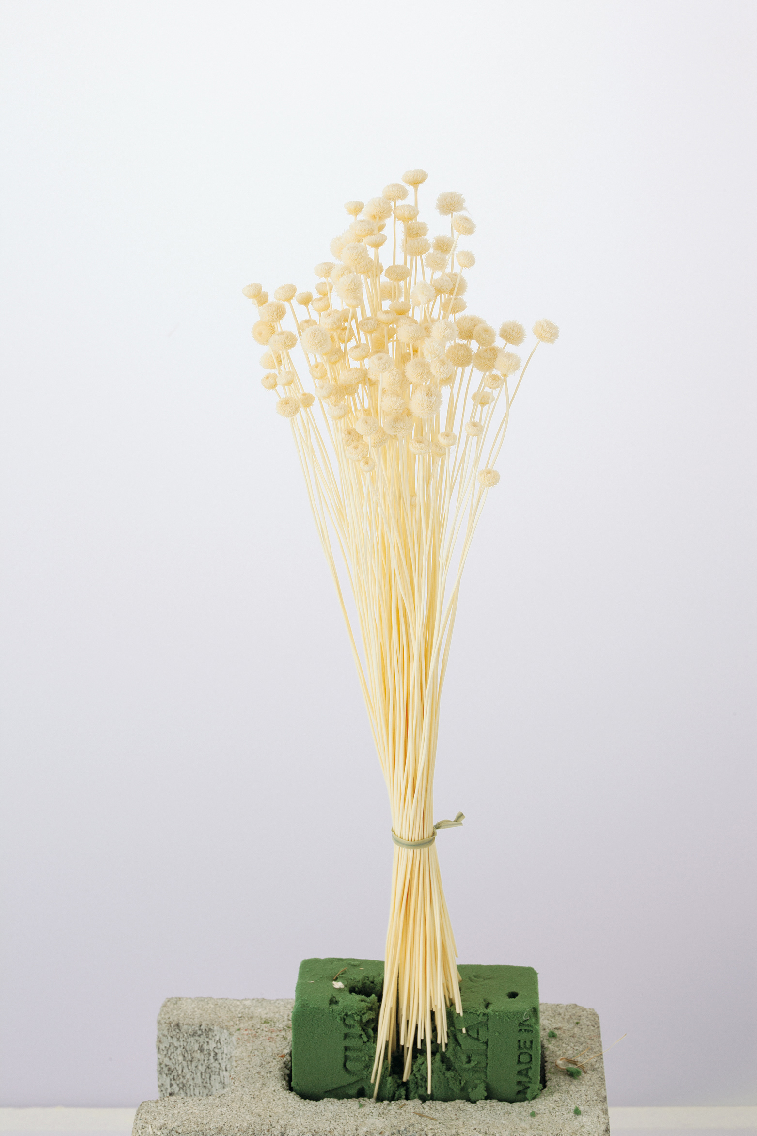 アマレリーフラワー　ﾔｸ22g ｼﾛ