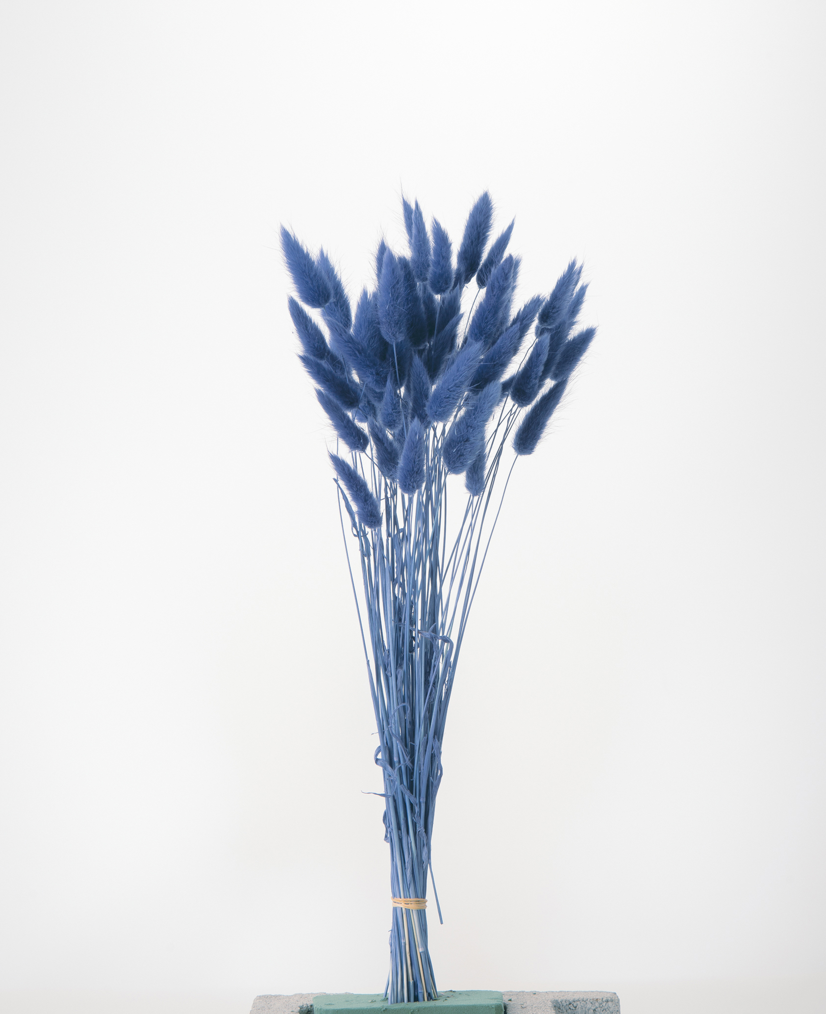 ラグラス ヤク15g ネイビー