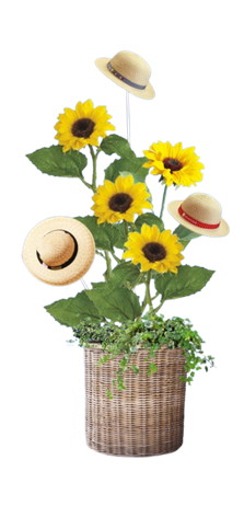 SUNFLOWER　DECO